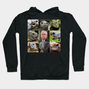 Great Turtles and Mitch McConnell Hoodie